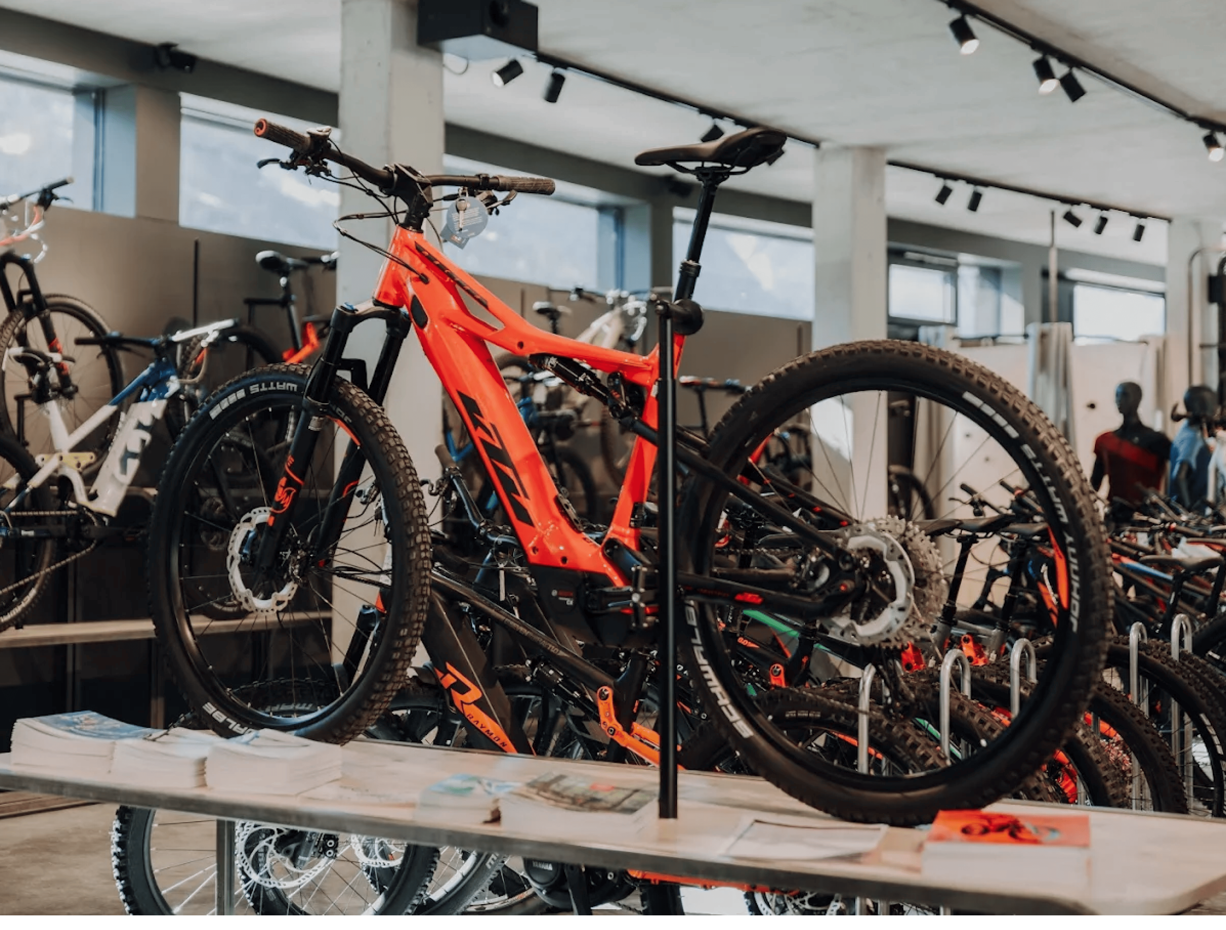 A bright orange mountain bike, displayed in a modern bicycle shop, surrounded by other bicycles. The shop has a bright, industrial style.