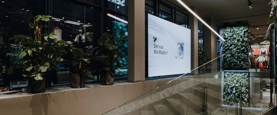 Modernes Interieur mit Glaswänden und Topfpflanzen entlang einer Treppe. Auf einem großen Bildschirm wird eine Schrift angezeigt. Das Ambiente ist elegant und einladend.