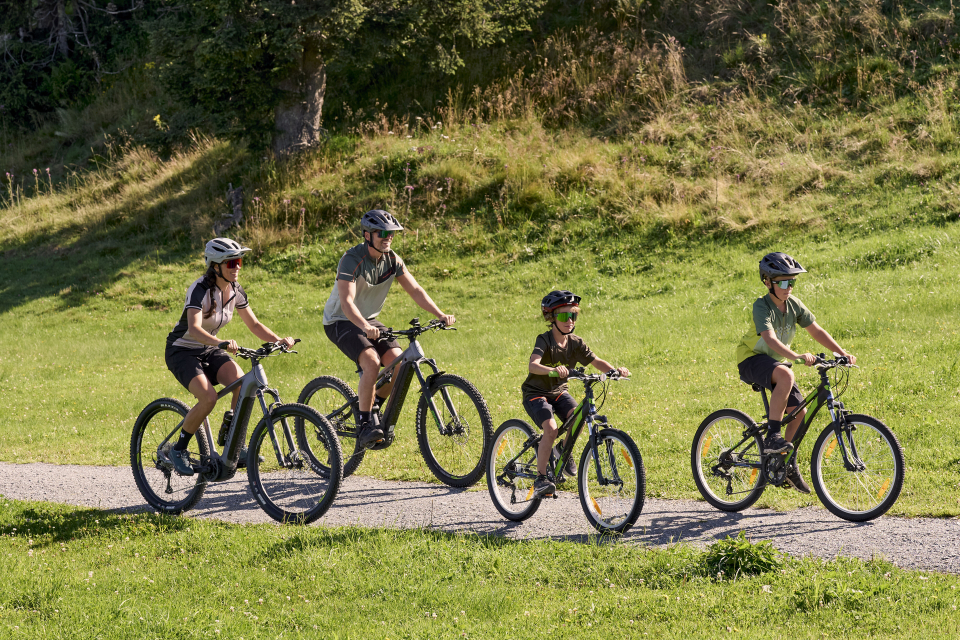 Eine vierköpfige Familie genießt einen sonnigen Tag beim Radfahren auf einem Weg durch einen üppig grünen Park. Die Eltern und zwei Kinder tragen Helme, lächeln und sind entspannt.